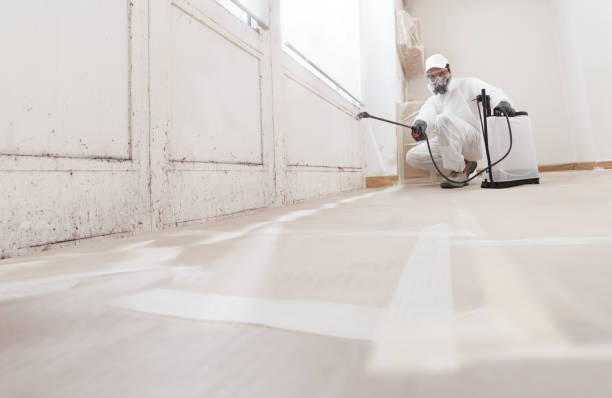 24/7 Emergency Attic Mold Remediation experts in Princeton, IL